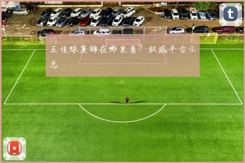五佳球集锦在哪里看？权威平台汇总