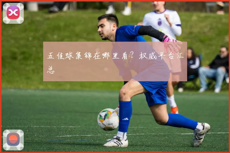 五佳球集锦在哪里看？权威平台汇总